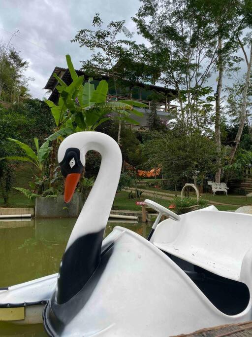 Villa Sitio Familia Buscape @Sitiofamiliabuscape Domingos Martins Exterior foto